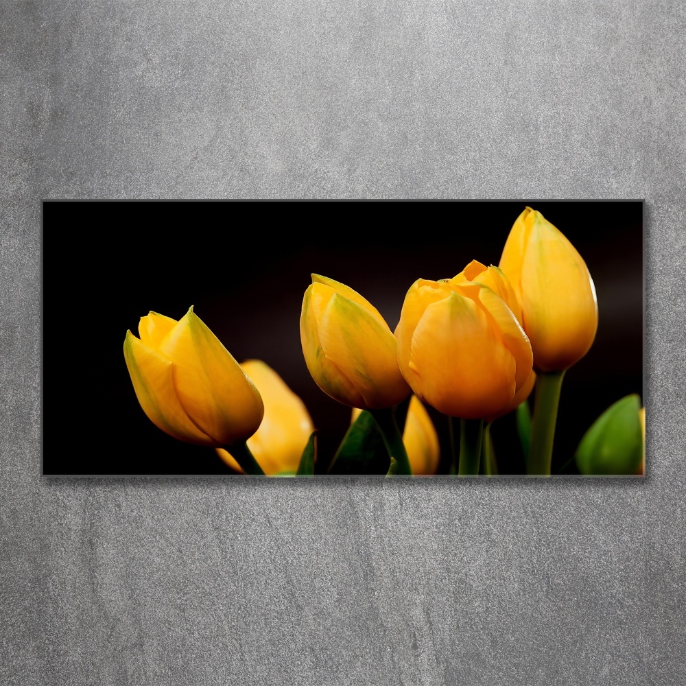 Acrylic print Yellow tulips