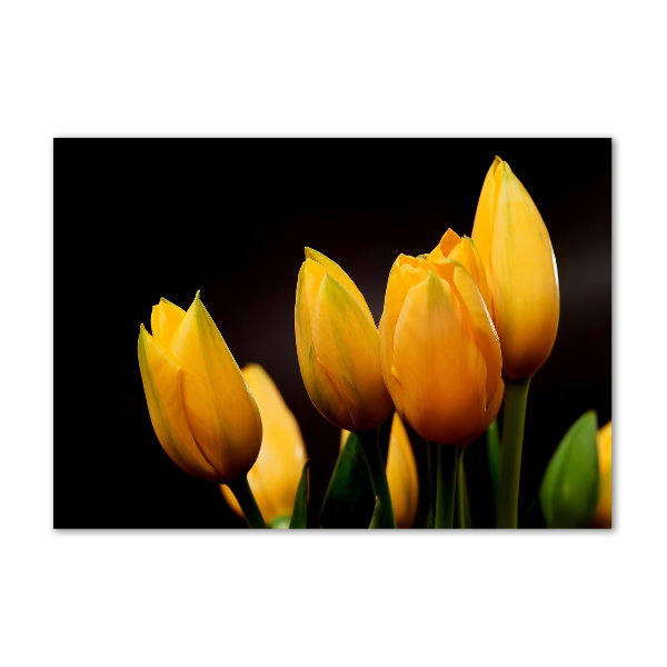 Acrylic print Yellow tulips