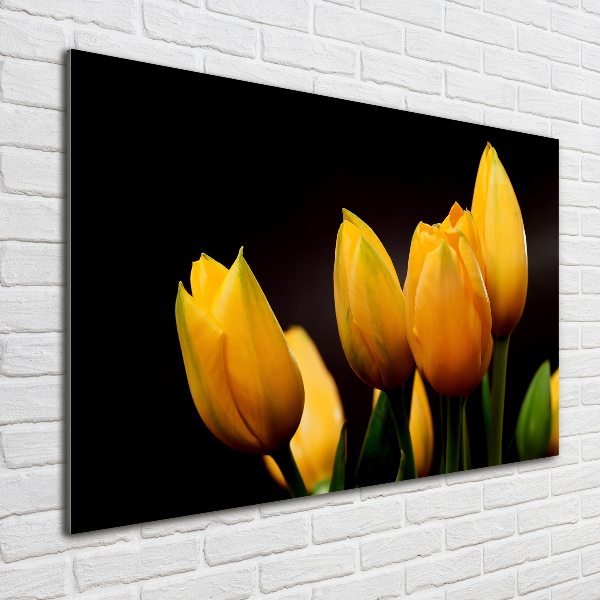 Acrylic print Yellow tulips