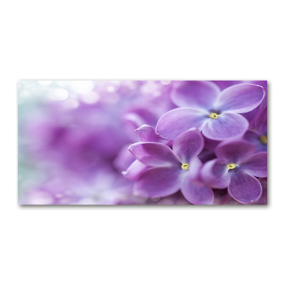 Acrylic wall art Lilac flowers