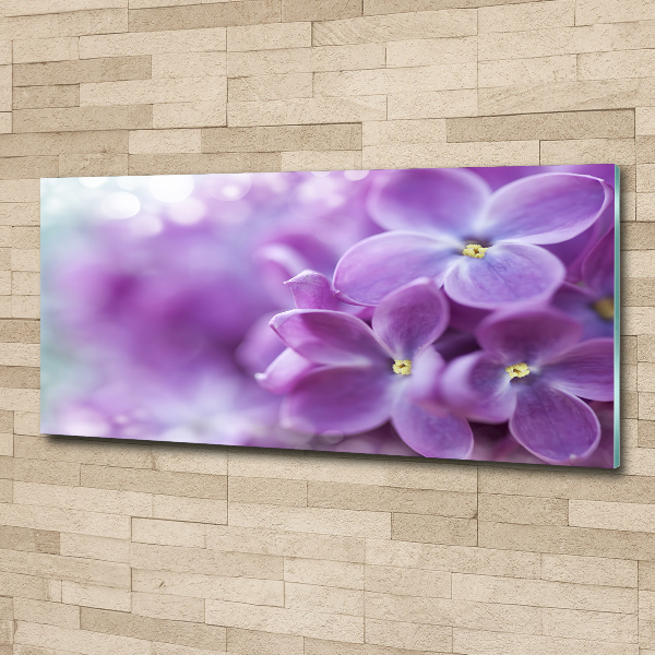 Acrylic wall art Lilac flowers