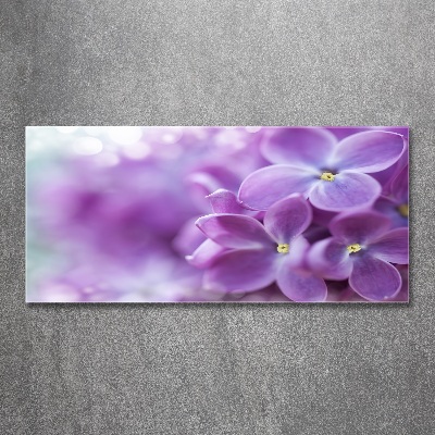 Acrylic wall art Lilac flowers