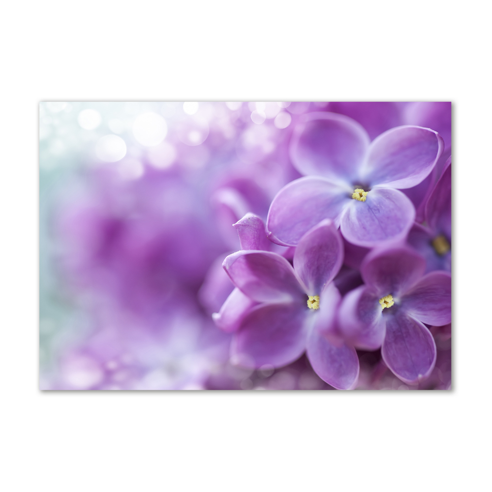 Acrylic wall art Lilac flowers