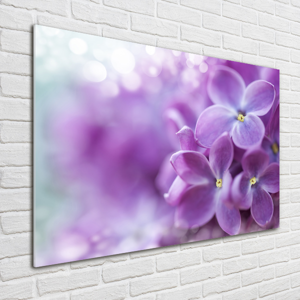 Acrylic wall art Lilac flowers