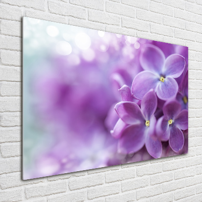 Acrylic wall art Lilac flowers