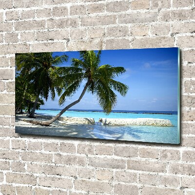 Glass acrylic wall art Tropical beach