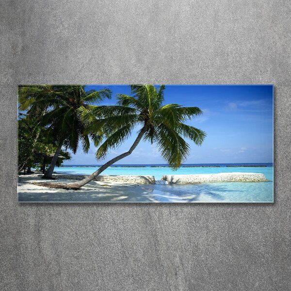 Glass acrylic wall art Tropical beach