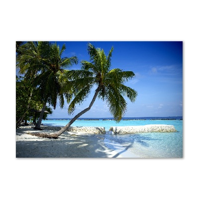 Glass acrylic wall art Tropical beach