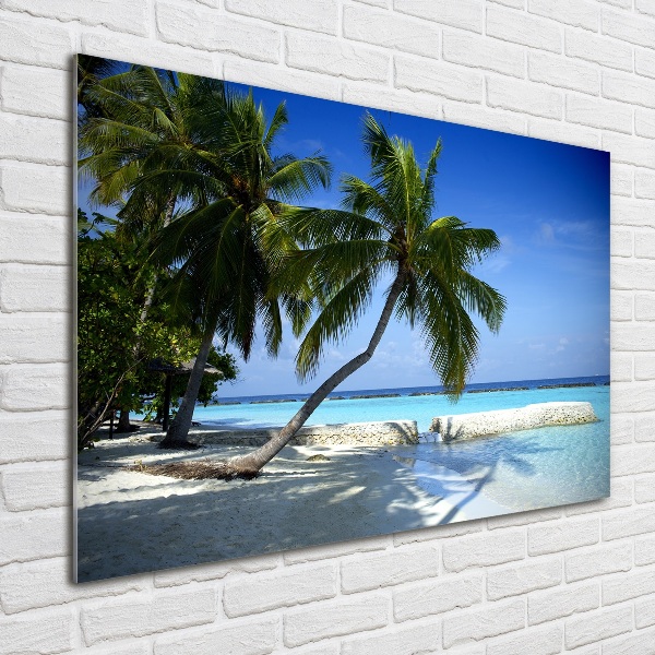 Glass acrylic wall art Tropical beach