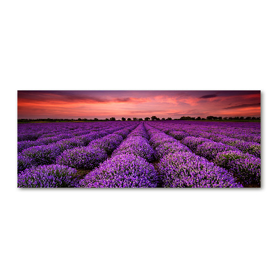 Glass acrylic wall art Lavender field