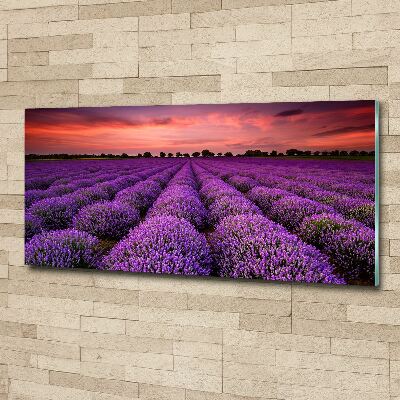 Glass acrylic wall art Lavender field