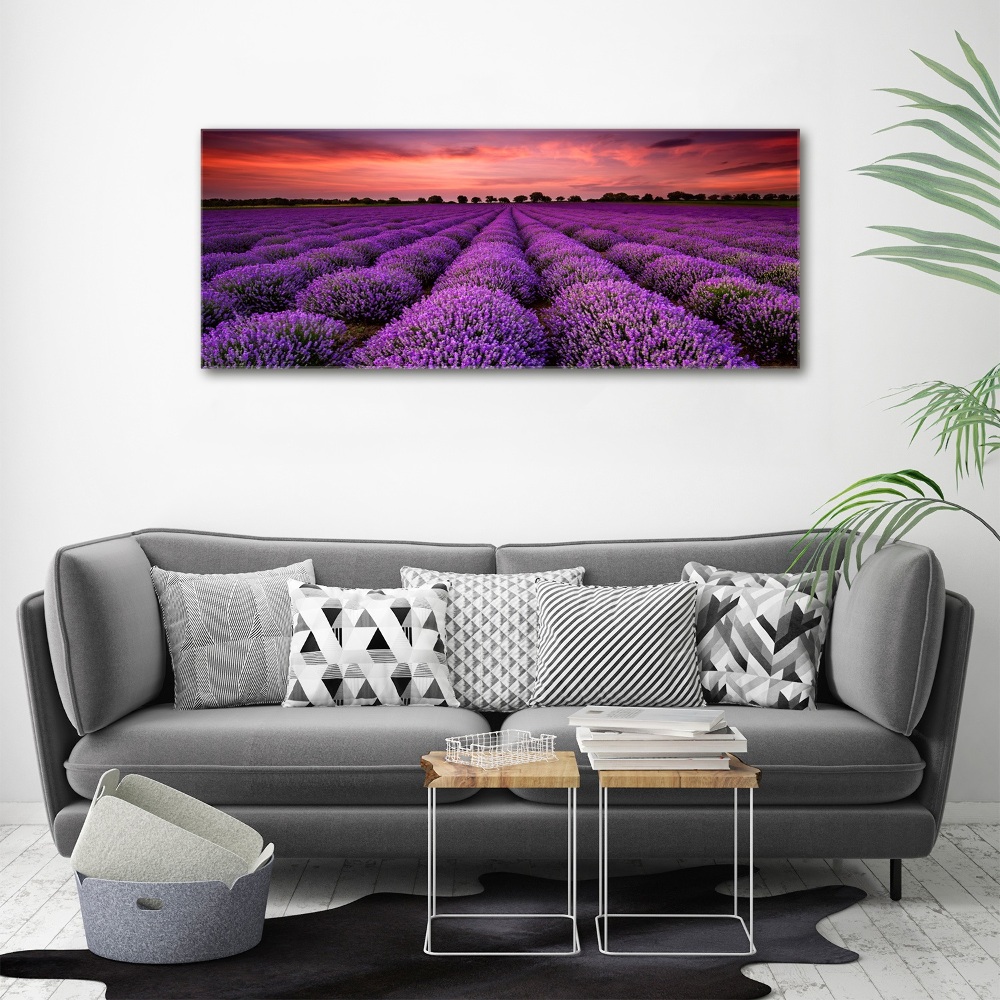 Glass acrylic wall art Lavender field