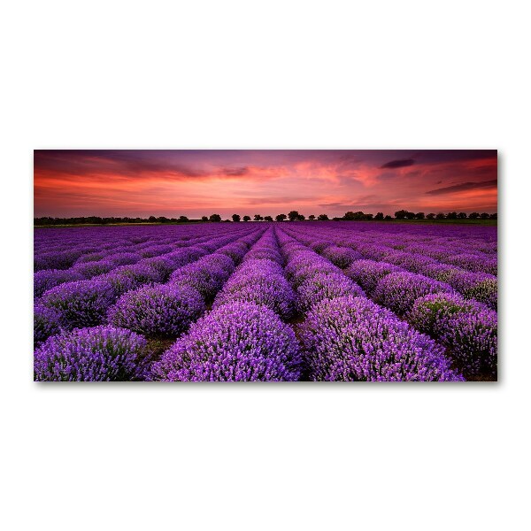 Glass acrylic wall art Lavender field