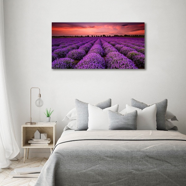 Glass acrylic wall art Lavender field