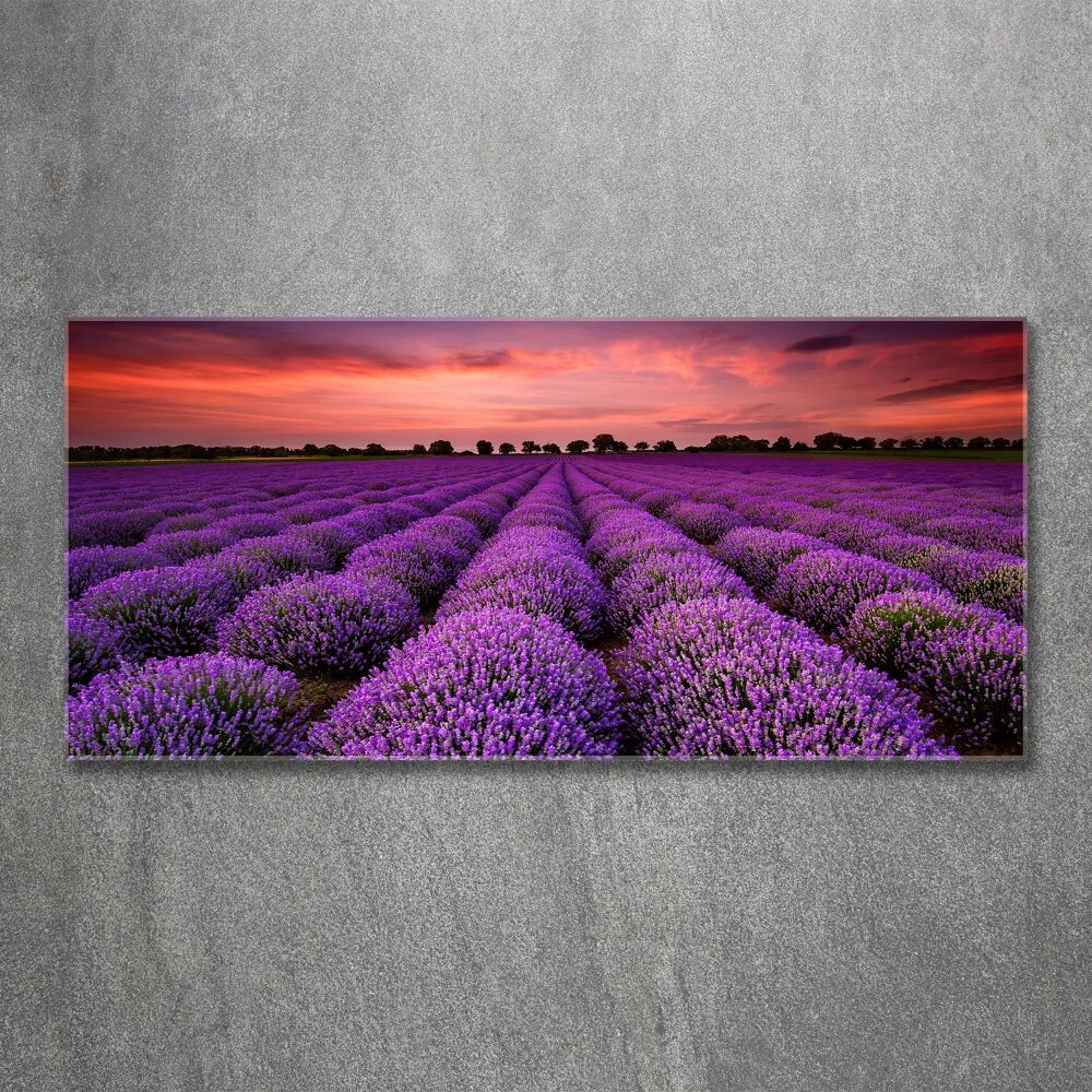 Glass acrylic wall art Lavender field