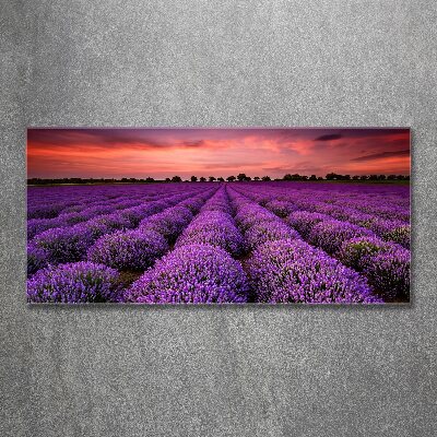 Glass acrylic wall art Lavender field