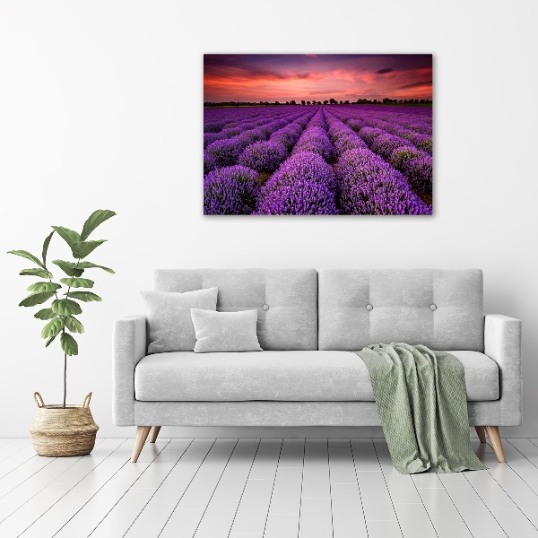 Glass acrylic wall art Lavender field