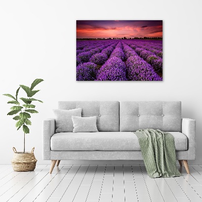 Glass acrylic wall art Lavender field