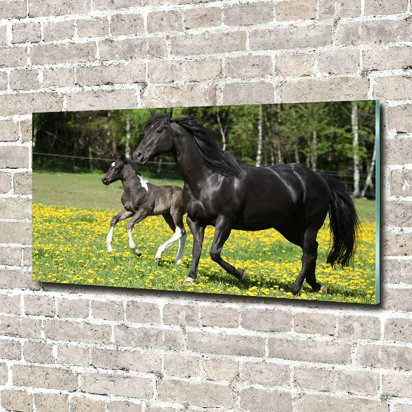 Print on acrylic Mare with foal