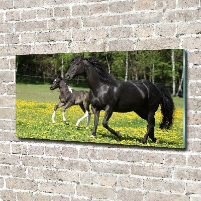 Print on acrylic Mare with foal