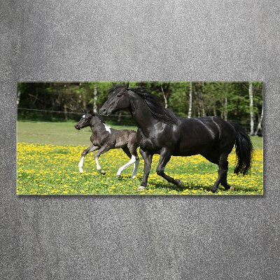 Print on acrylic Mare with foal