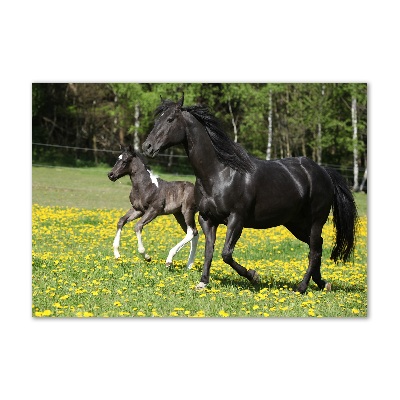 Print on acrylic Mare with foal