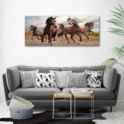 Print on acrylic Five horses