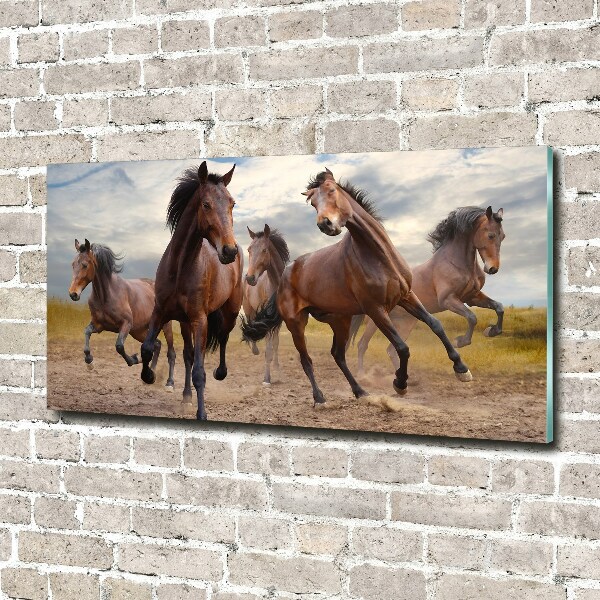 Print on acrylic Five horses