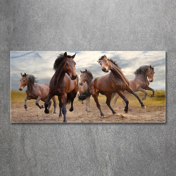 Print on acrylic Five horses