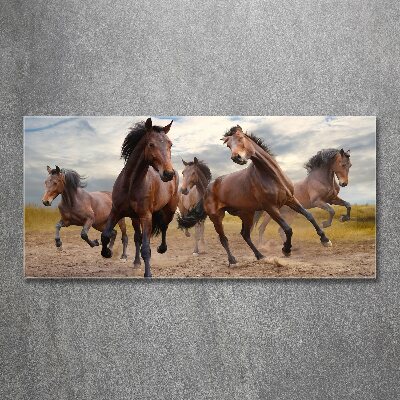 Print on acrylic Five horses