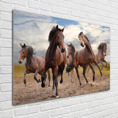 Print on acrylic Five horses