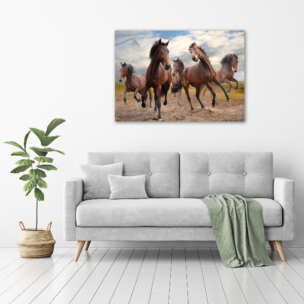 Print on acrylic Five horses