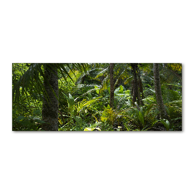 Acrylic wall art Tropical forest