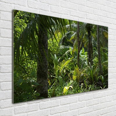 Acrylic wall art Tropical forest