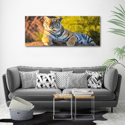 Print on acrylic Portrait of a tiger