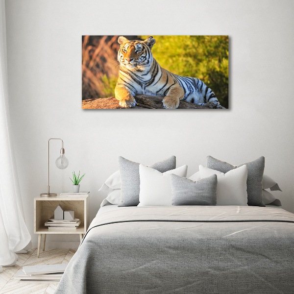 Print on acrylic Portrait of a tiger