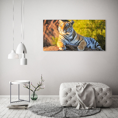 Print on acrylic Portrait of a tiger