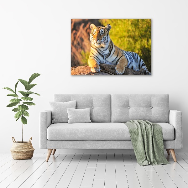 Print on acrylic Portrait of a tiger