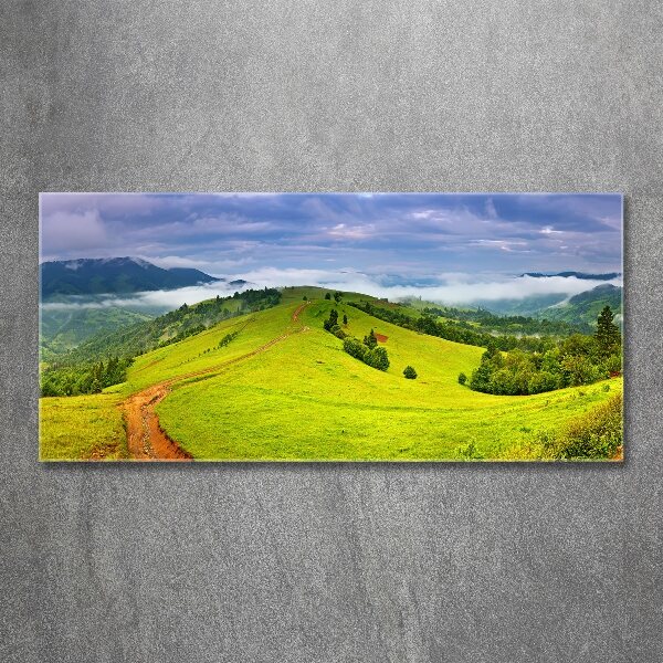 Acrylic wall picture Green hills