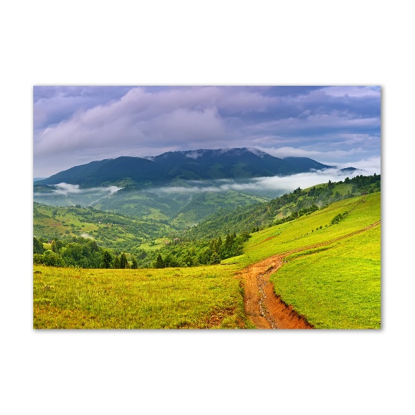 Acrylic wall picture Green hills