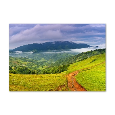 Acrylic wall picture Green hills