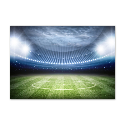 Wall art acrylic Stadium