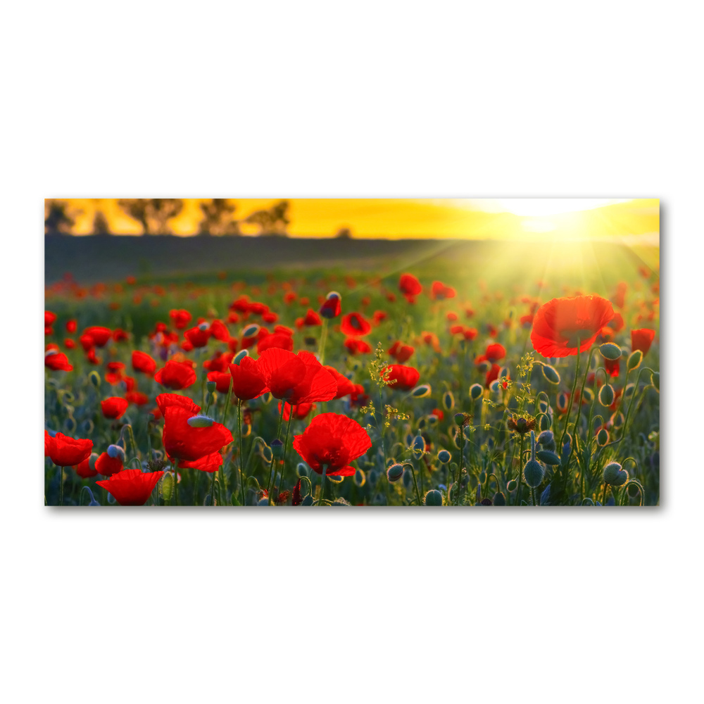 Acrylic wall picture Mak field