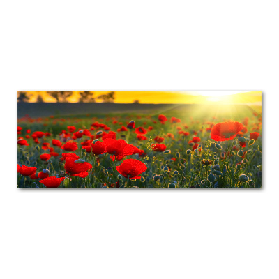 Acrylic wall picture Mak field