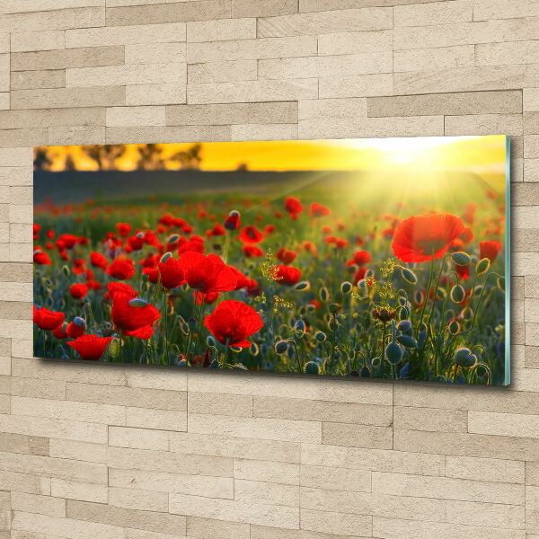 Acrylic wall picture Mak field