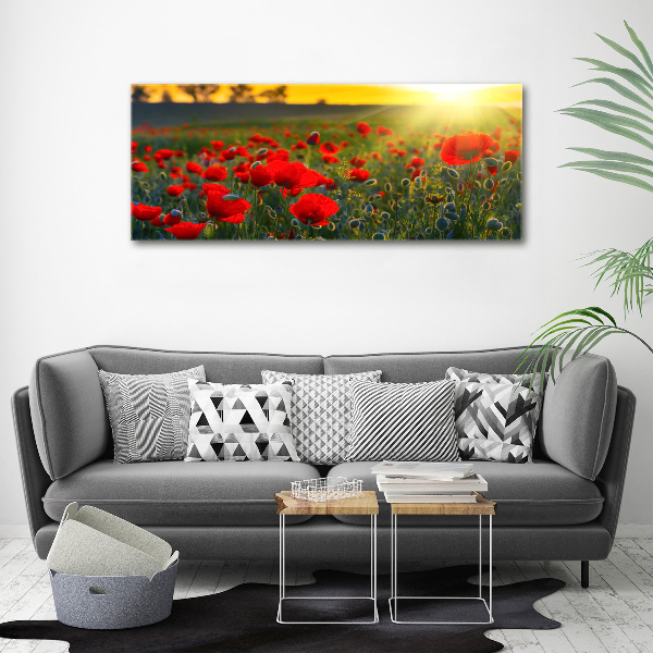 Acrylic wall picture Mak field