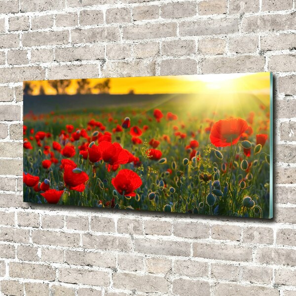 Acrylic wall picture Mak field