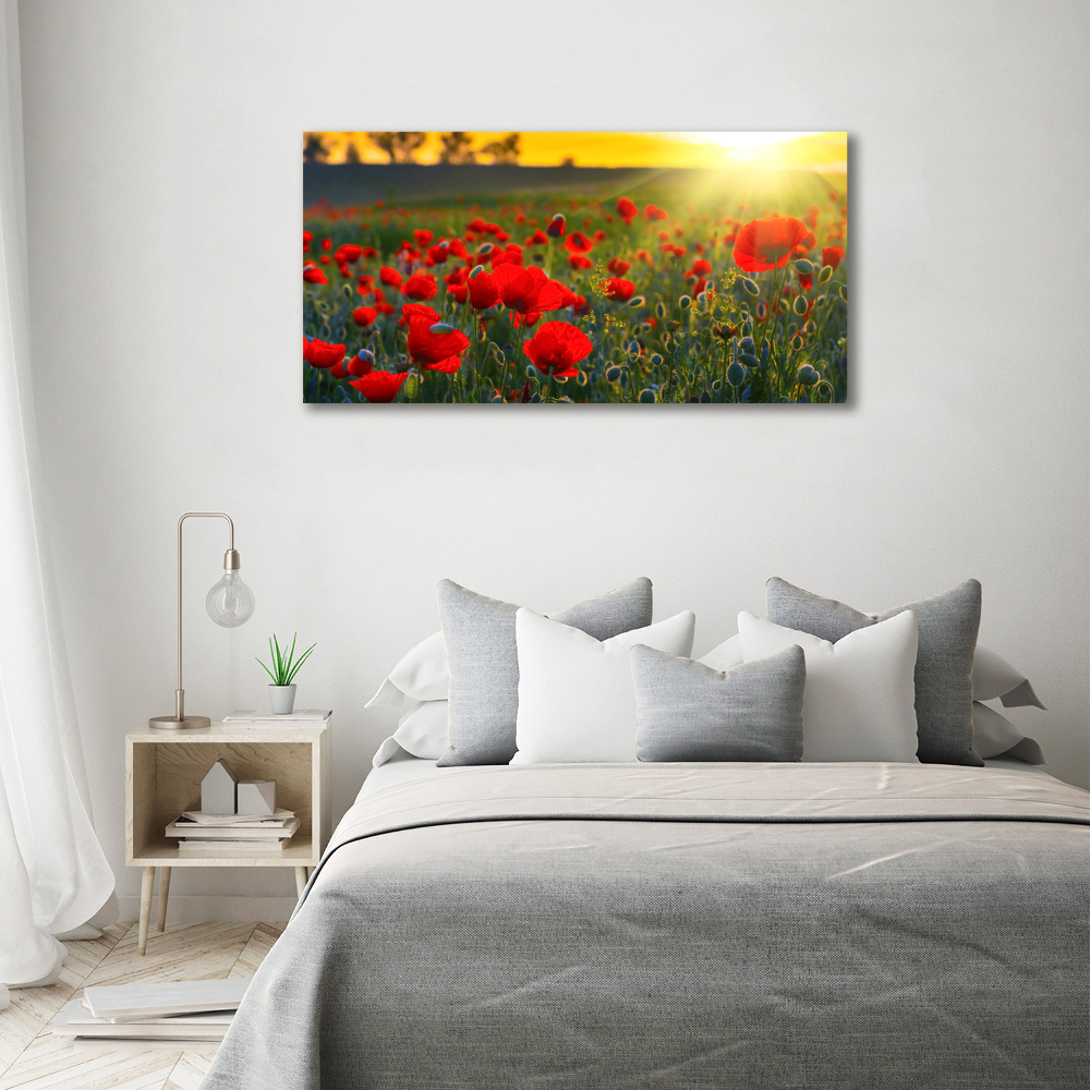 Acrylic wall picture Mak field