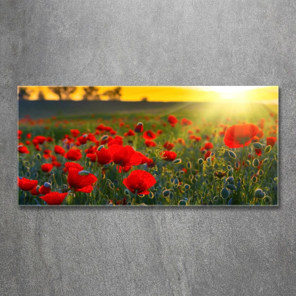 Acrylic wall picture Mak field