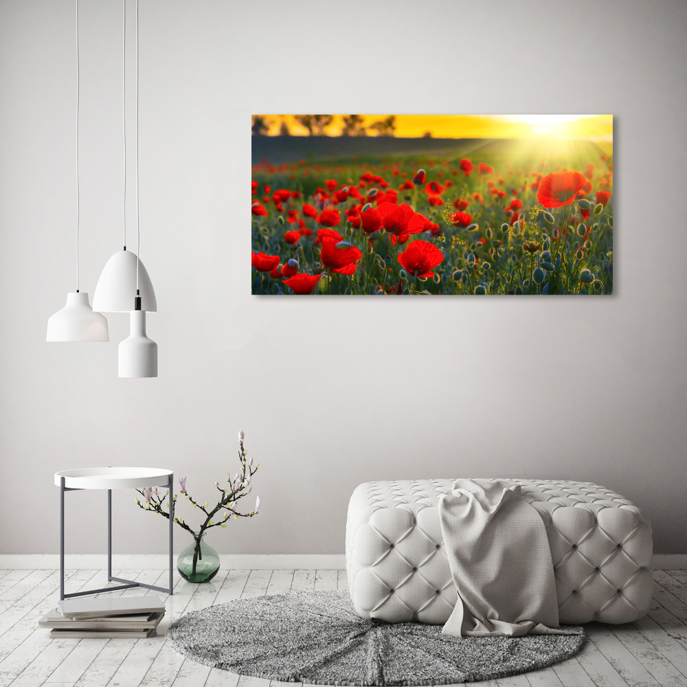 Acrylic wall picture Mak field